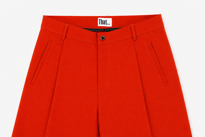 THATyou Pleated Wide Leg Pants - Burnt Orange