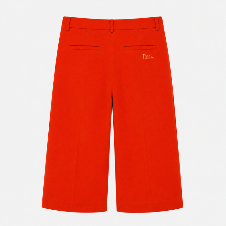 THATyou Pleated Wide Leg Pants - Burnt Orange